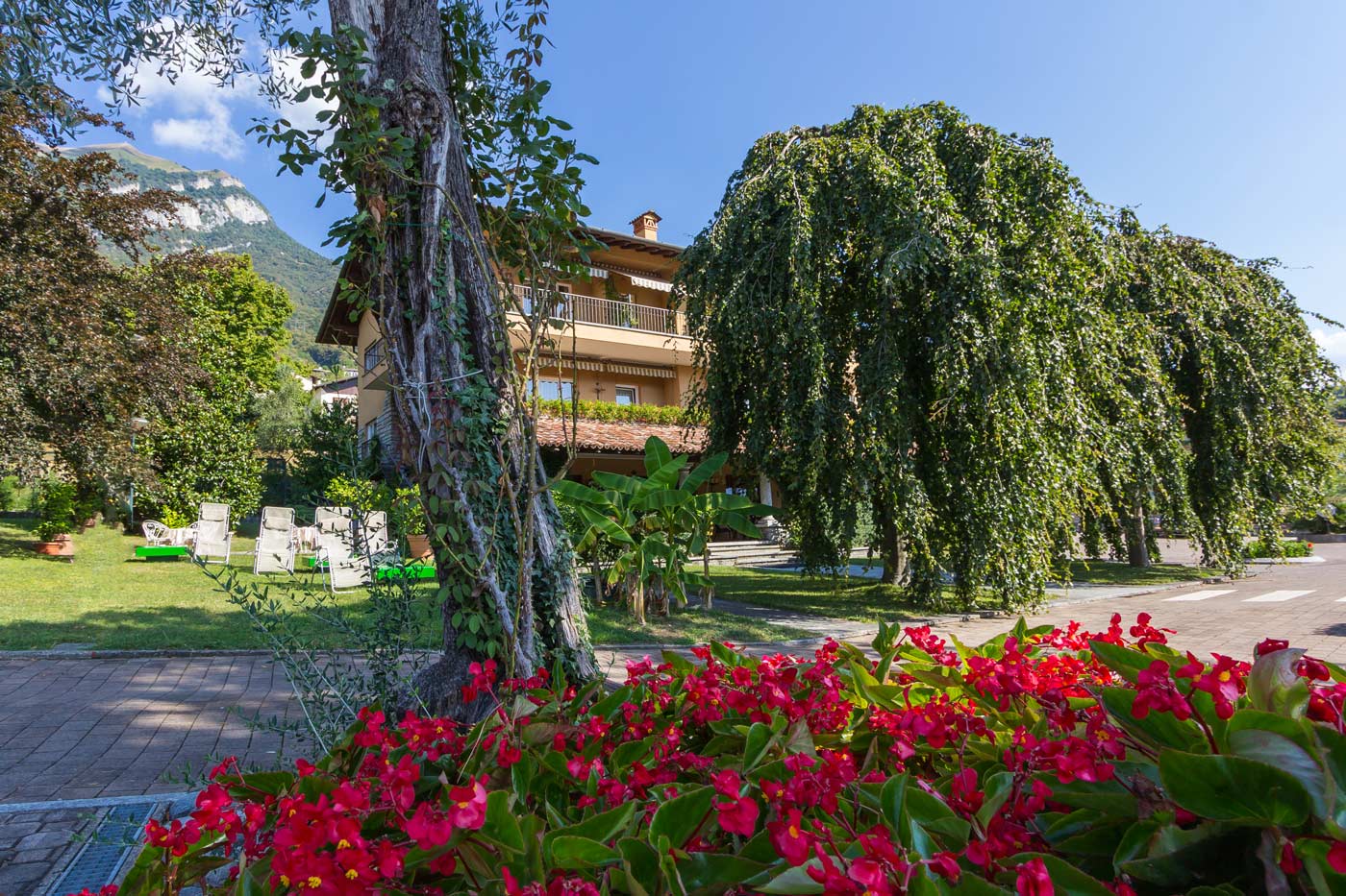 Offers Hotel in Tremezzo Villa Edy Lake Como